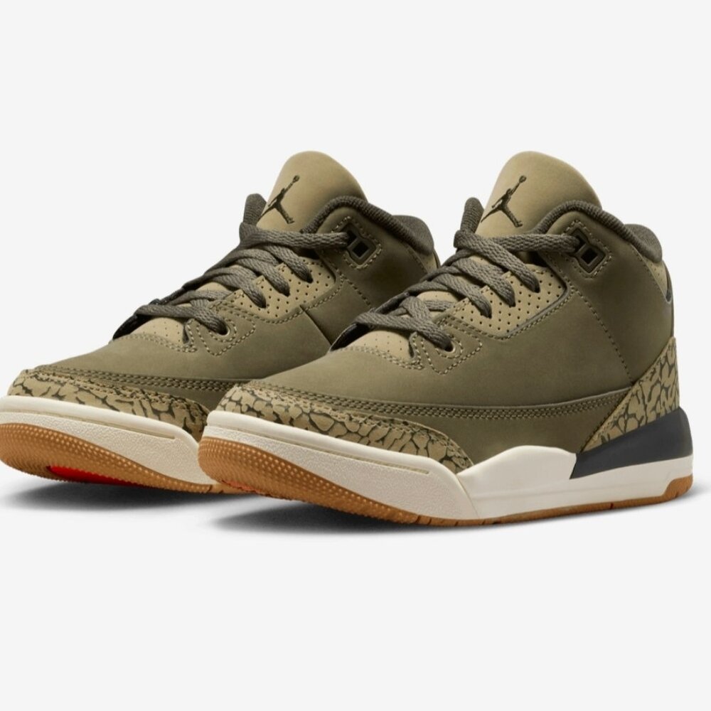 Jordan 3 Retro 'Family Affair'
